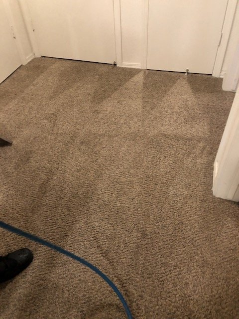 Nature's Way Carpet Cleaning