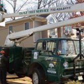 Tree Service Piscataway  Photo of Diaz Landscape Design & Tree Service - Piscataway, NJ, United States