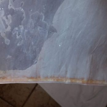 Pink Mold On Shower Curtain Yelp
