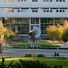 Badger Market in Engineering