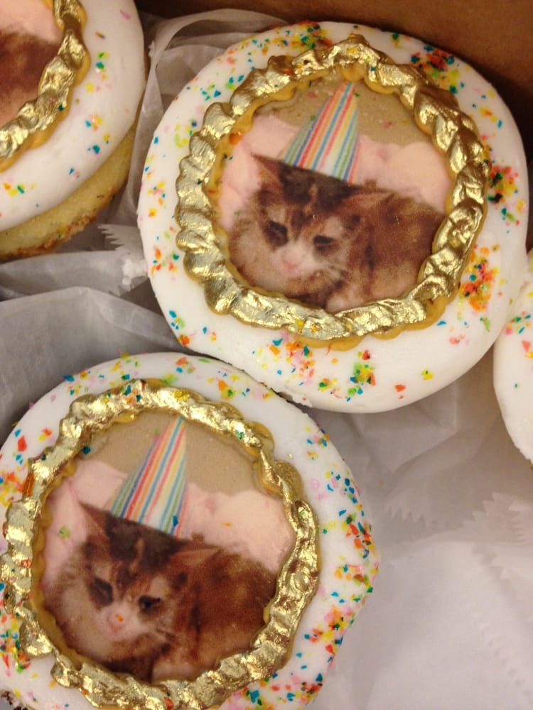 Uhmazing cupcakes with my cat's face adorning the icing