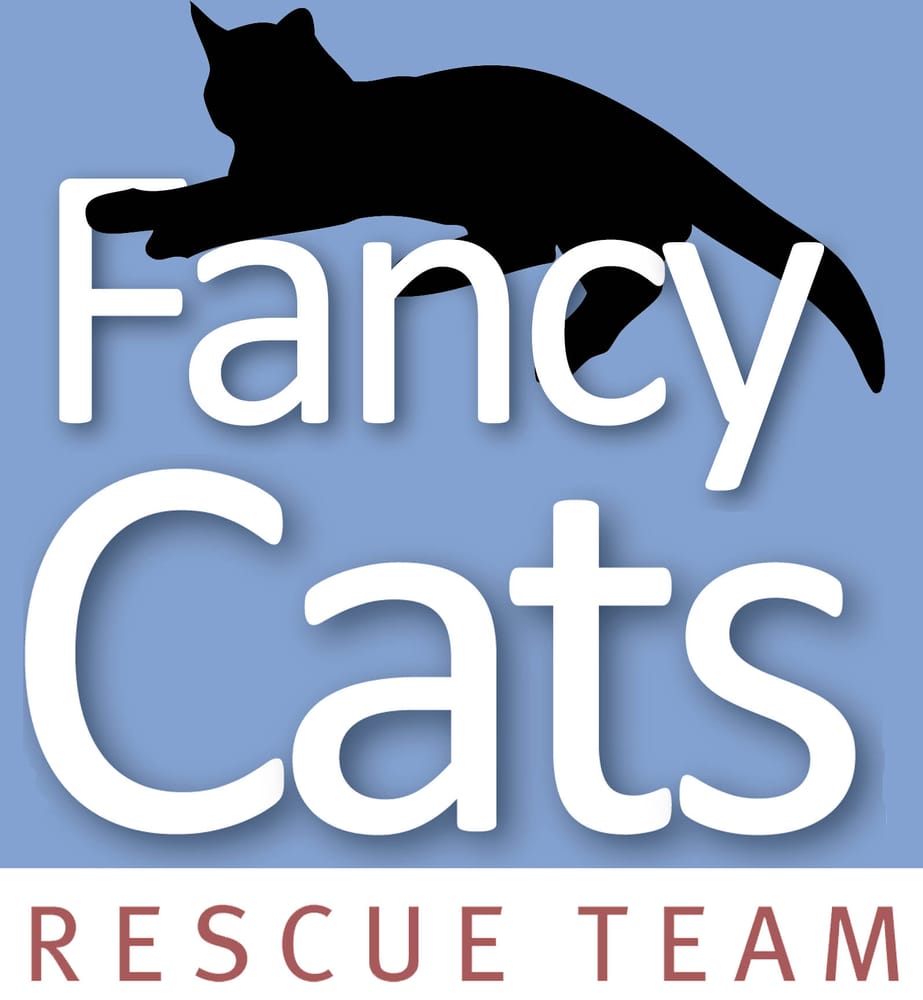 Fancy Cats Rescue Team