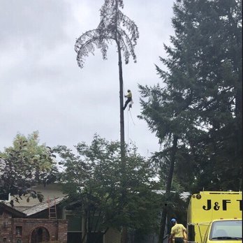 J F Tree Service Inc 29 Photos 59 Reviews Services Photo Of J F Tree Service Inc Beaverton Or United States
