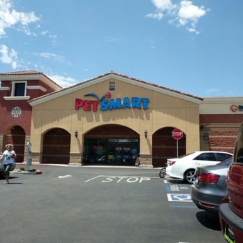 Dog Training Petsmart Brooklyn Dog Training Petsmart Brooklyn