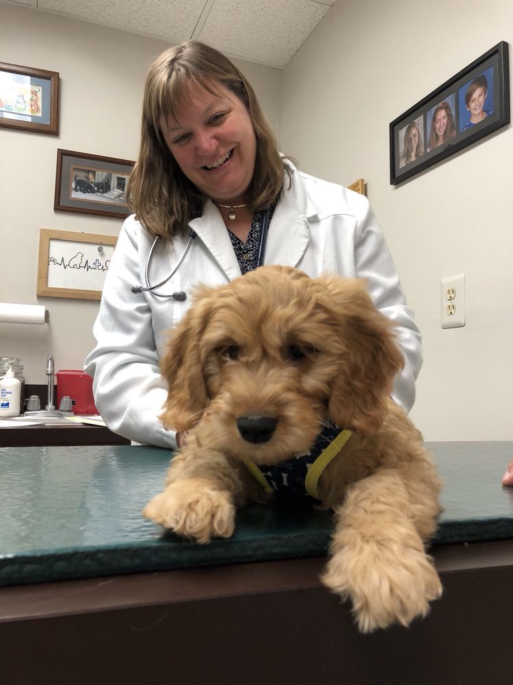 Montrose Animal Health Center
