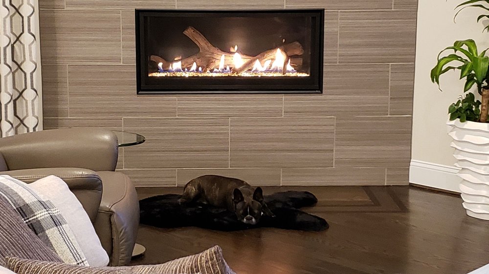 Paws Pet Resort and Spa