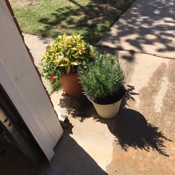Pam S Plants Nurseries Gardening 211 Ellison Ave Oklahoma Pam S Plants Nurseries Gardening 211 Ellison Ave Oklahoma City Ok Phone Number Yelp