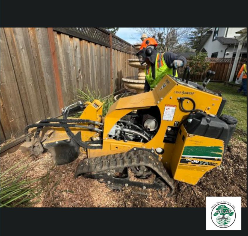 Atlas Tree Service