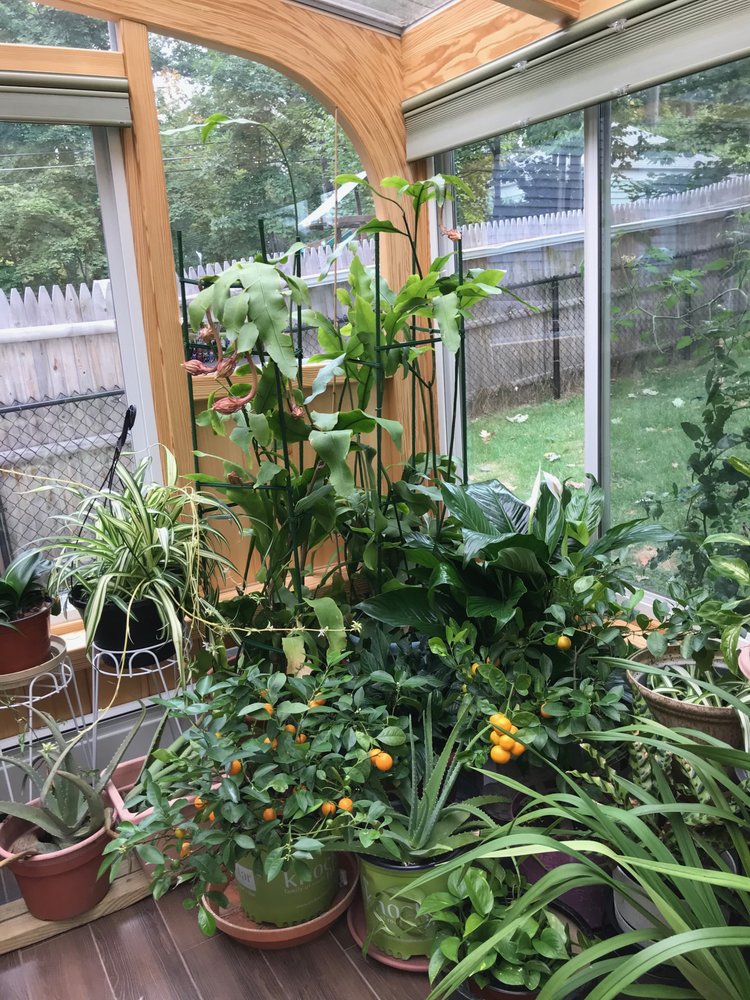 image of business Brady-Built Sunrooms