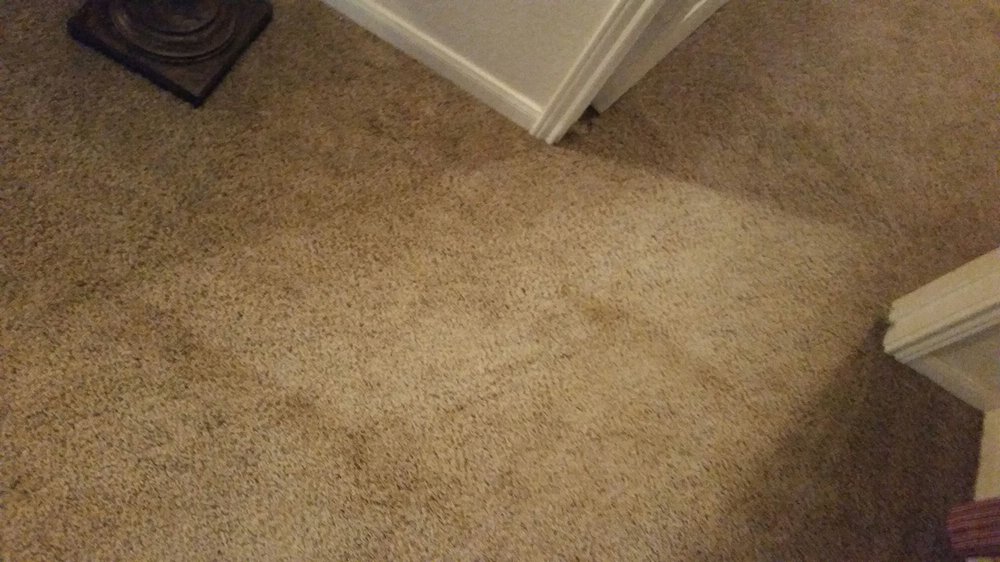 Alpha Omega Carpet Care 41 Reviews Cleaning 17191 Alpha Omega Carpet Care 41 Reviews Cleaning 17191 Irongate Rail San Antonio Tx Phone Number Yelp