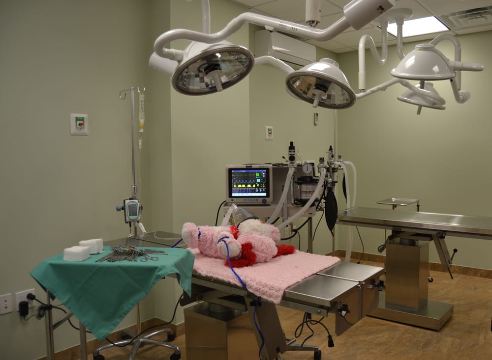 Animal Hospital of Hasbrouck Heights 19 Photos & 10 Reviews