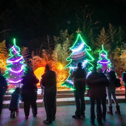 La Zoo Lights 1774 Photos 449 Reviews Zoos 5333 Dr Photo Of La Zoo Lights Los Angeles Ca United States L A
