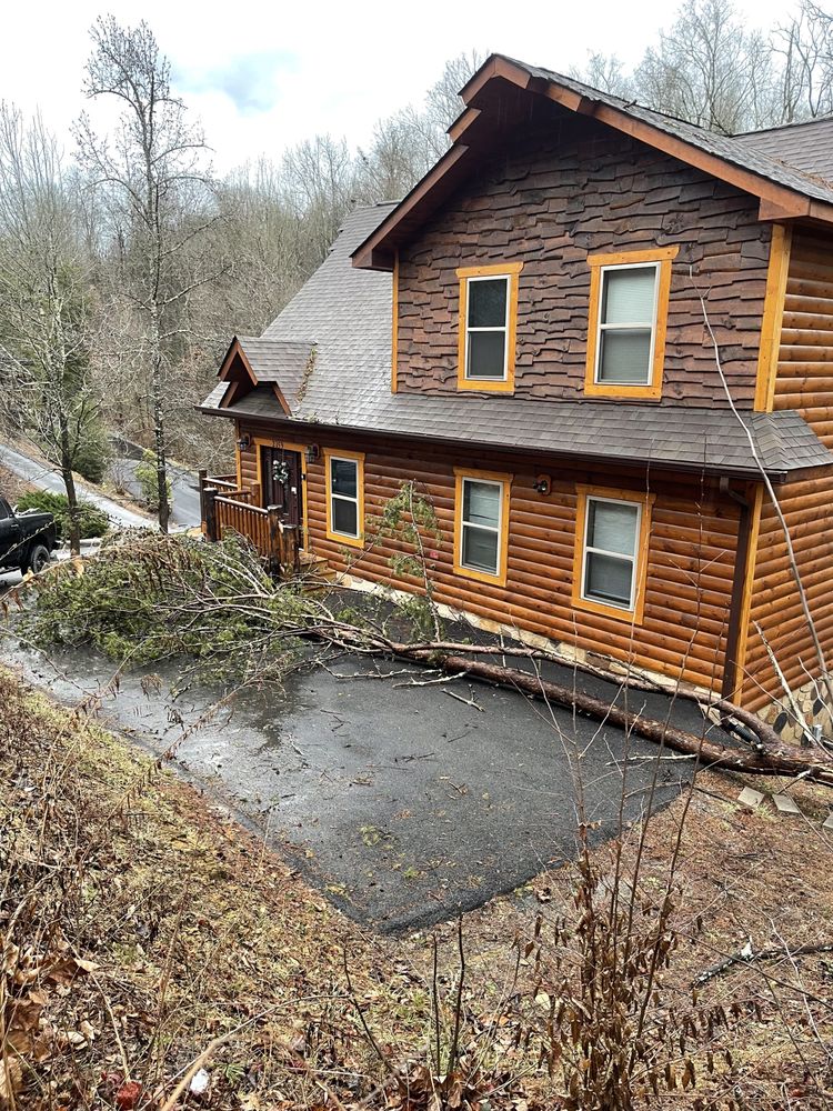 Rustic Timber Tree Service