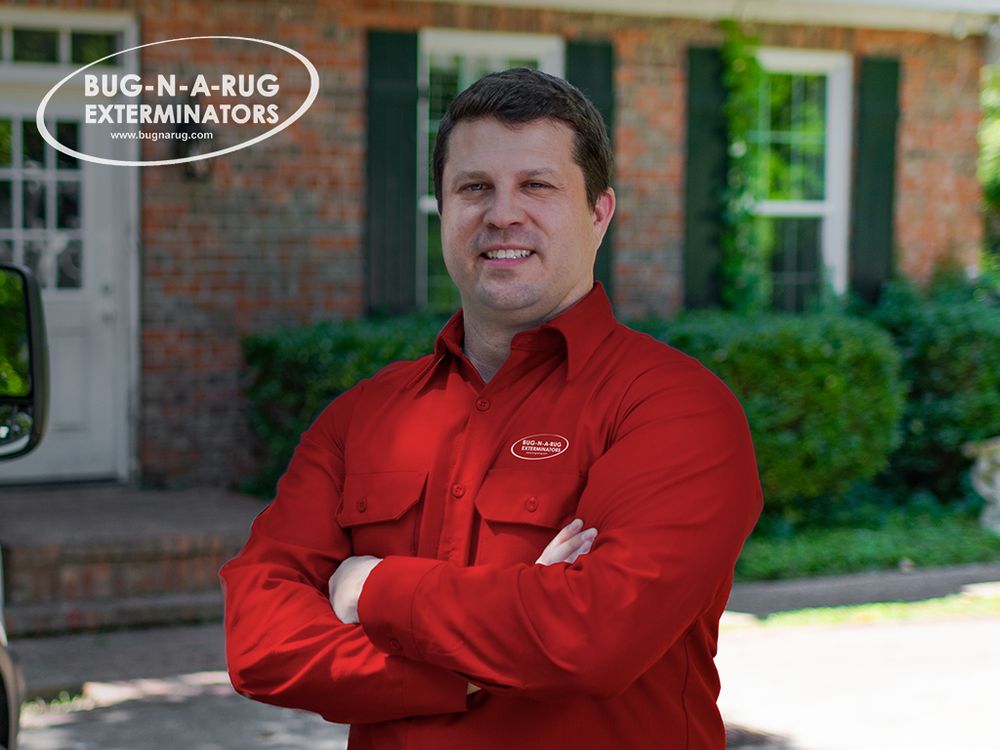 Bug-N-A-Rug Exterminators - Wilmington