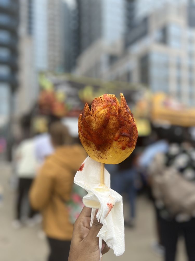 Williamsburg Smorgasburg - Saturday