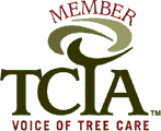 Northern Virginia Tree Experts