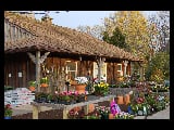 Del Vacchio Landscapes & Christmas Decor