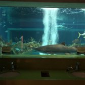 OdySea Aquarium - 1435 Photos & 669 Reviews - Aquariums - 9500 E Via De ...