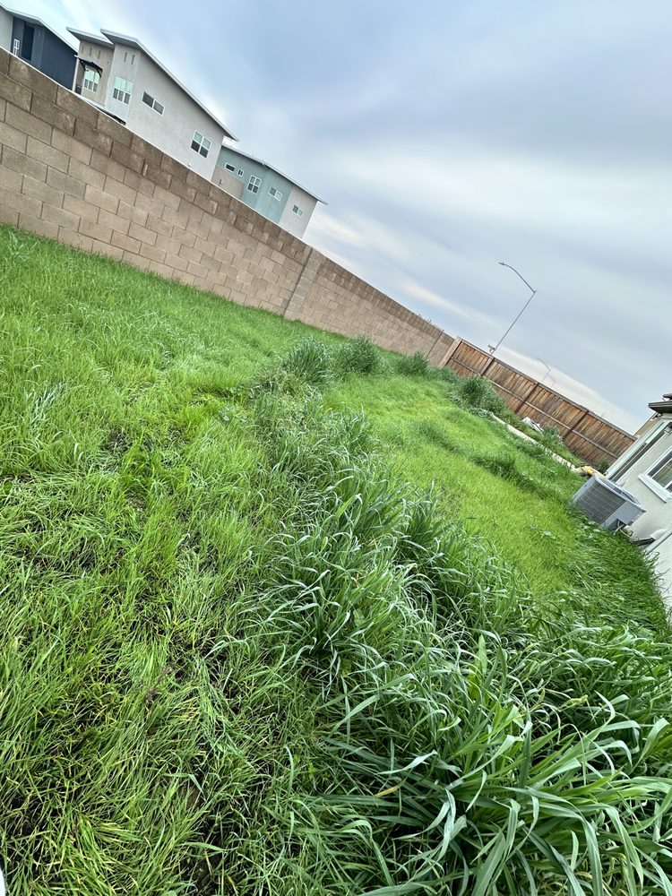 Pablo’s landscaping services