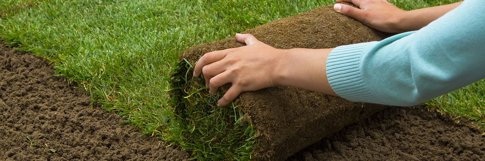 Gangwish Turf