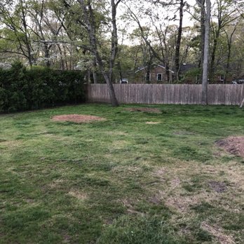 Leon Tree Service And Landscaping 111 W Yaphank Rd Photo Of Leon Tree Service And Landscaping Coram Ny United States