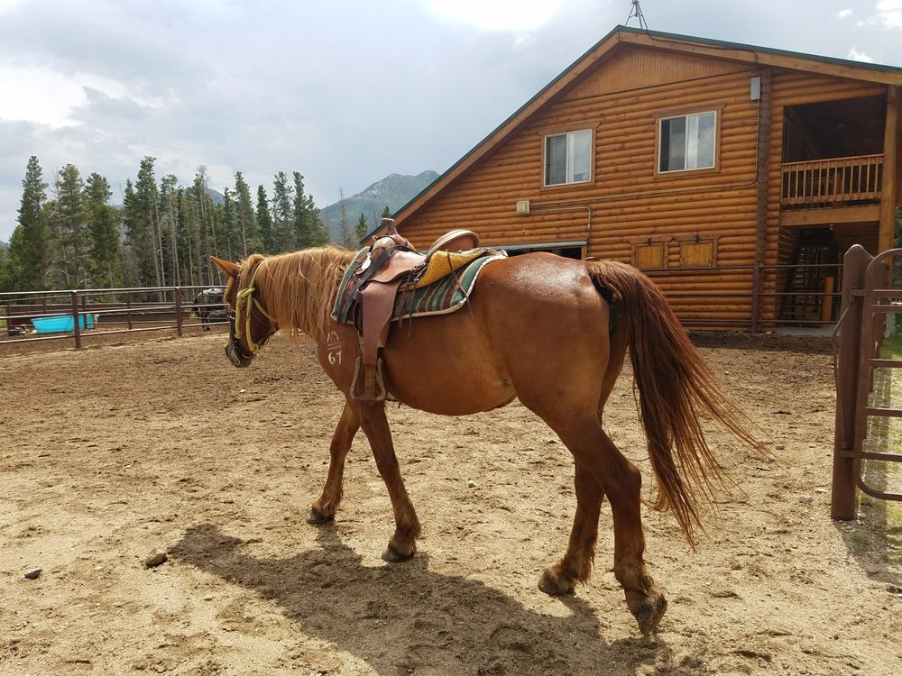Glacier Creek Stables Horseback Riding 4000 Bear Lake Rd, Estes
