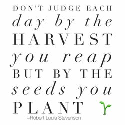 apartments frontier roanoke va states united jhony