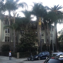 Casa Palmera Apartments 1843 N Cherokee Ave Casa Palmera Apartments 1843 N Cherokee Ave Hollywood Los Angeles Ca Phone Number Yelp