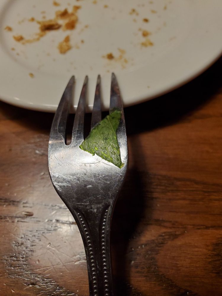 Saltgrass Steak House