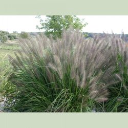Cold Stream Farm Nurseries Gardening 8585 N Stephens Rd Free Photo Of Cold Stream Farm Free Soil Mi United States