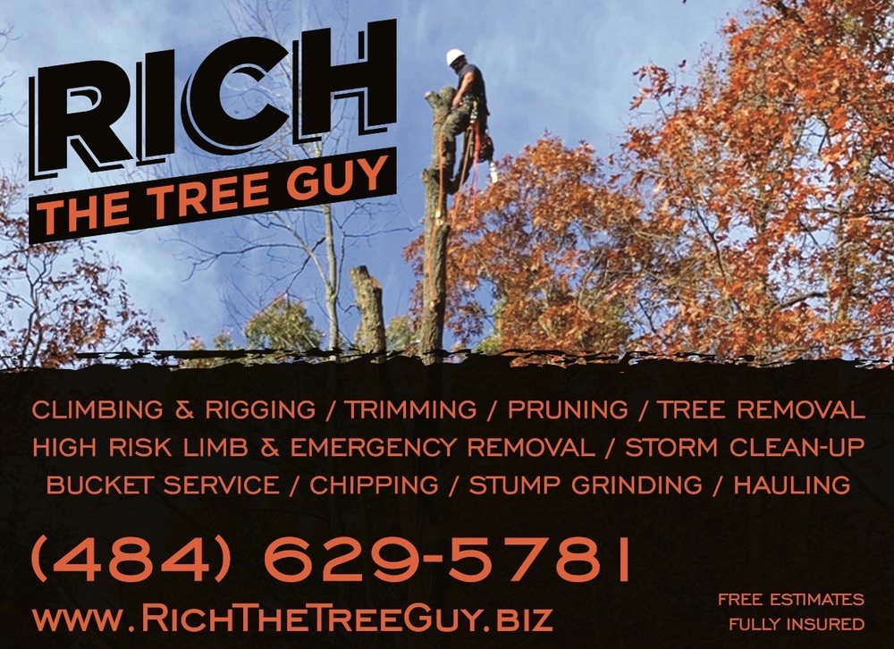 Rich The Tree Guy