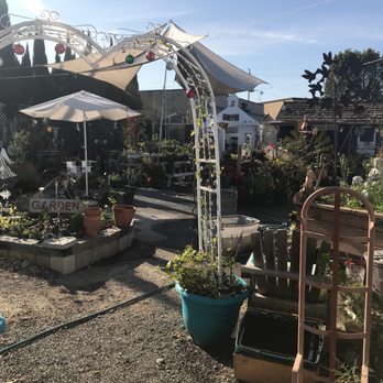 Heavenly Vintage Nursery 166 Photos 70 Reviews Nurseries Photo Of Heavenly Vintage Nursery Fountain Valley Ca United States So Many