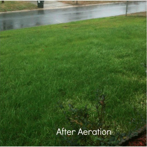 Lawn Guy Inc