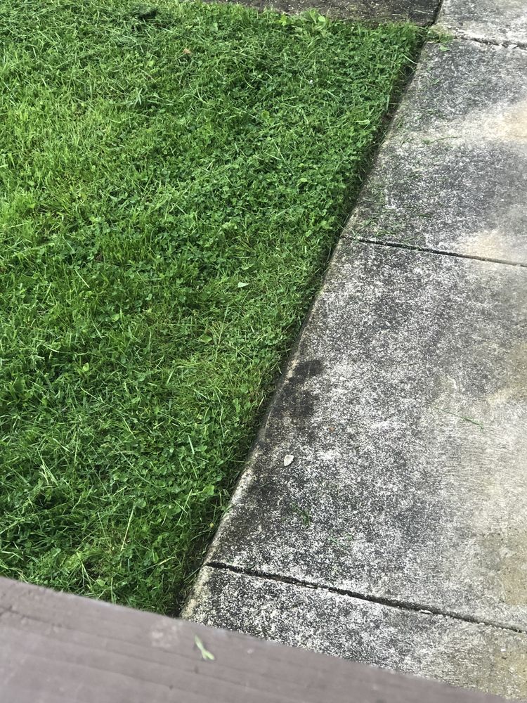 Bannan Landscaping Services