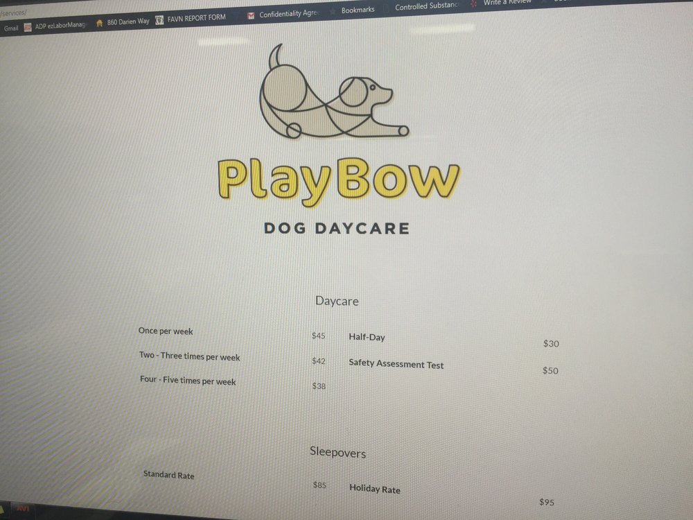 puppy daycare sf photos for playbow daycare yelp puppy daycare sf photos for playbow daycare yelp