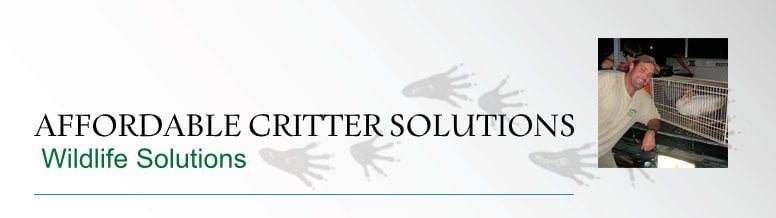 Affordable Critter Solutions