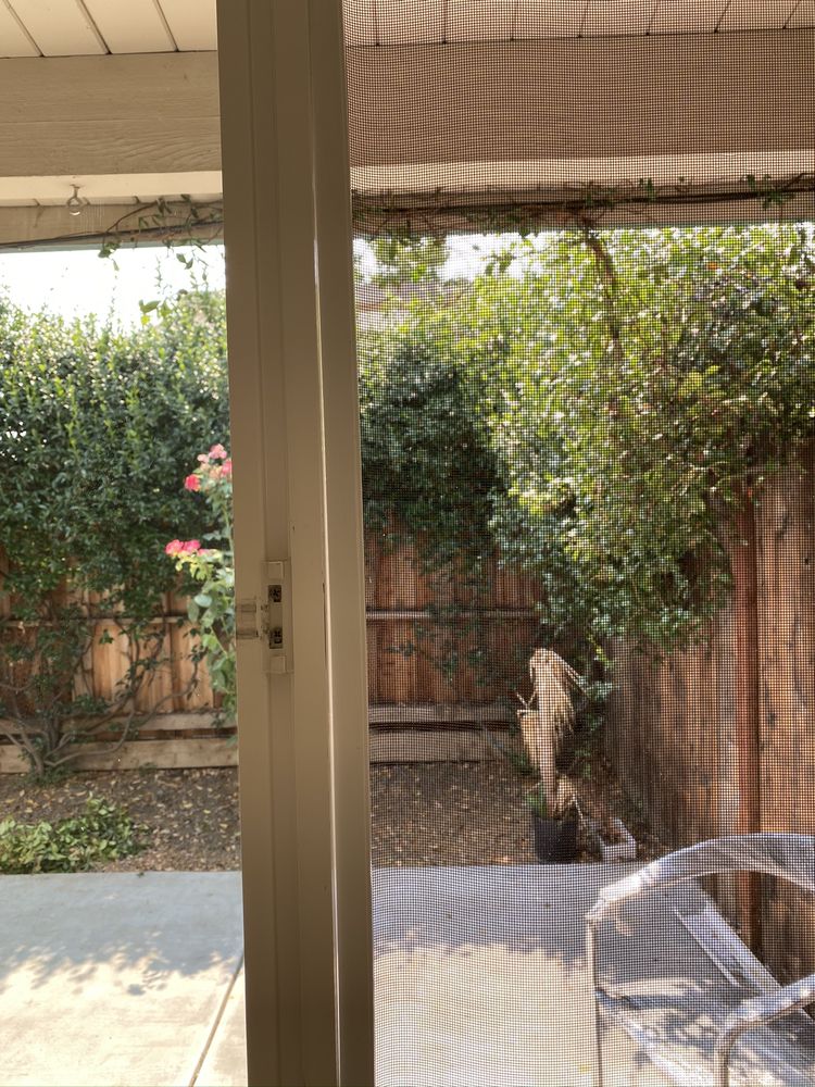 Rich Windows & Doors