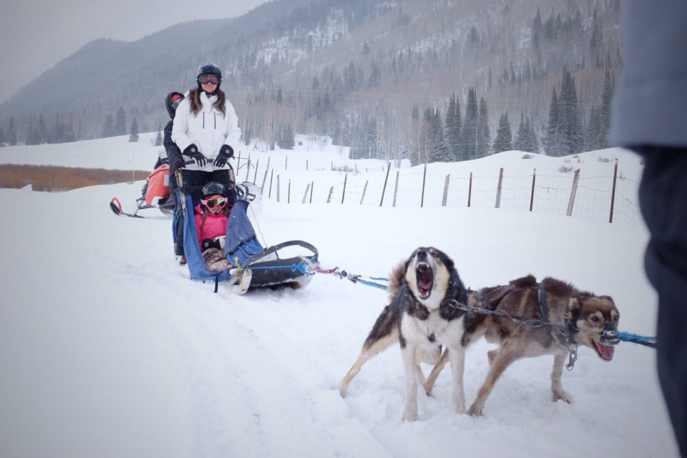 Luna Lobos Dog Sledding 22 Photos & 20 Reviews Tours Park City