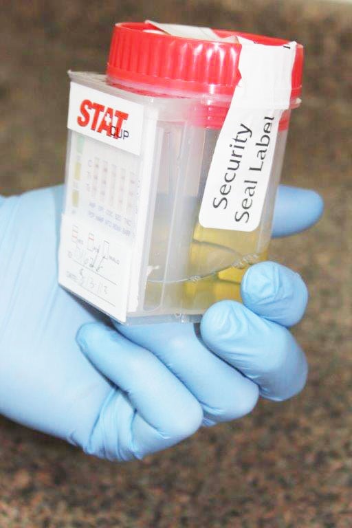 Fastest Labs El Paso 36 Photos Laboratory Testing 5734