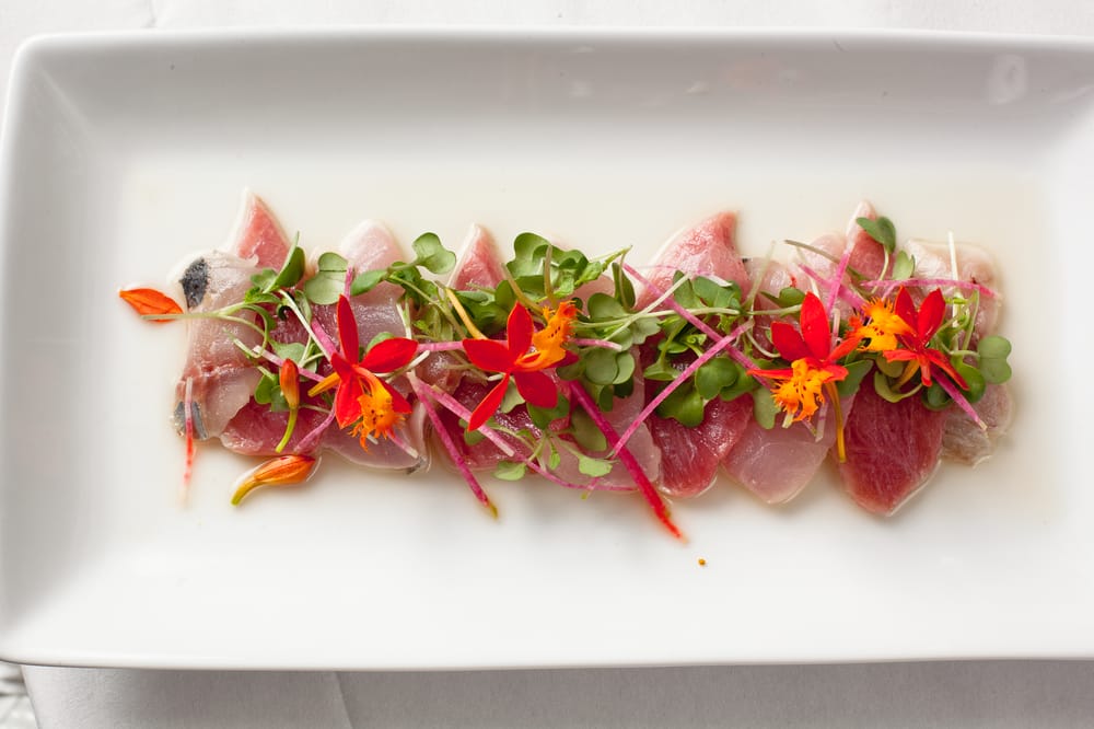 Amberjack, Golden eye snapper and tuna belly crudo Yelp