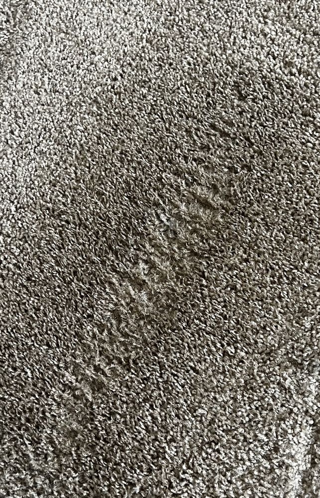 Real Clean Carpet Care