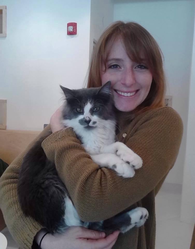 Cat Cafe San Francisco Yelp Cat Cafe San Francisco Yelp