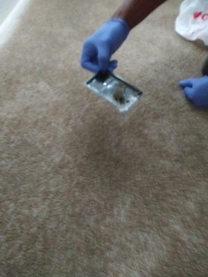 Western Heights Apartments