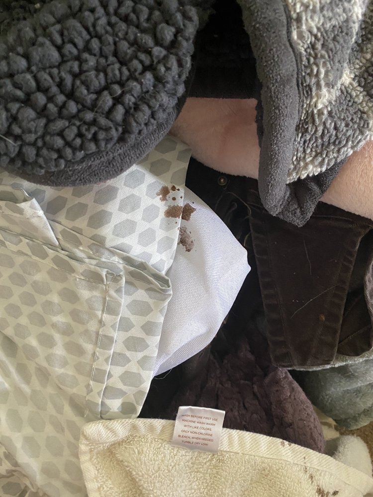 Roto-Rooter Plumbing & Water Cleanup