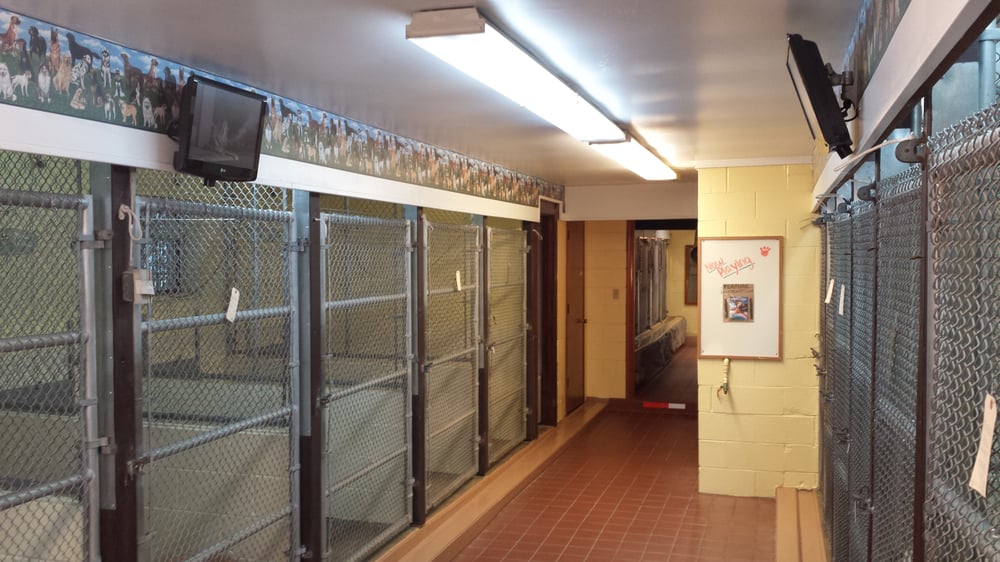 Noah’s Pet Motel Pet Sitting 1661 S Hanover St, Pottstown, PA