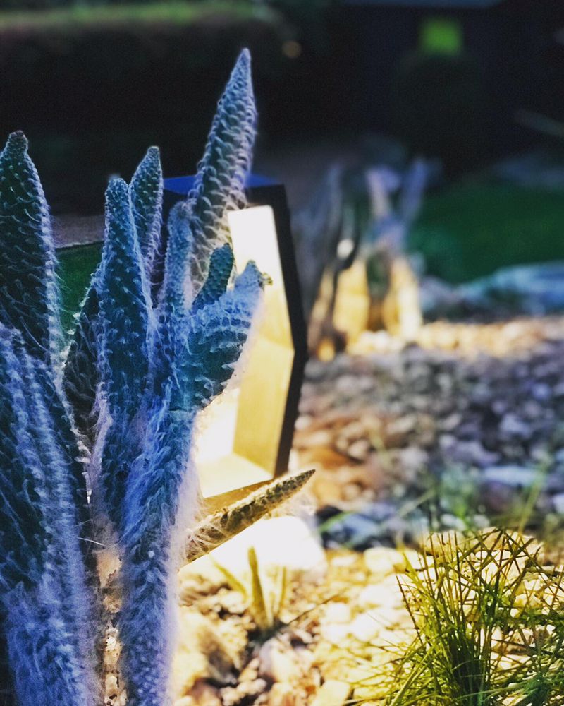 Capital Lighting