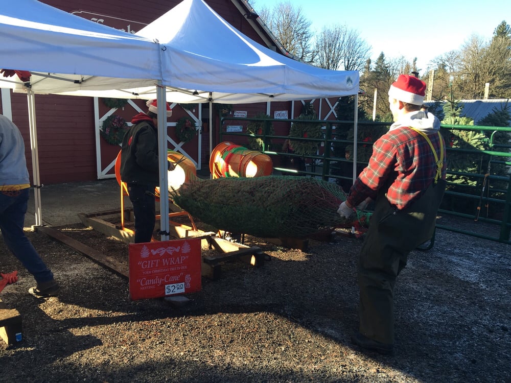 enchanted winds christmas tree farm 193 rboles de navidad enchanted winds christmas tree farm 193 rboles de navidad