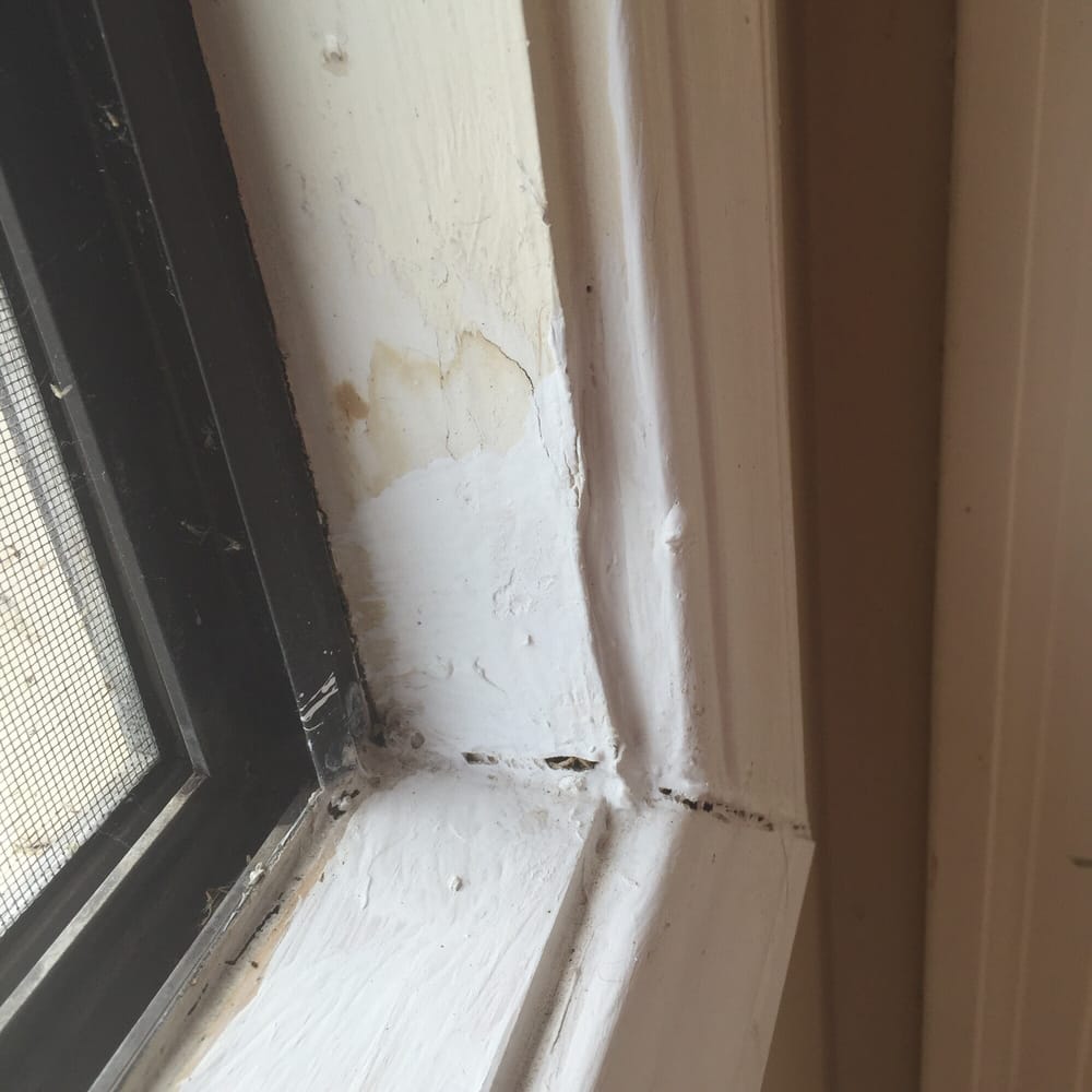 White Flat Paint Vs Off Semi Gloss And No Caulking The New Photo Of Time Pest Control Anderson Ca United States White Flat