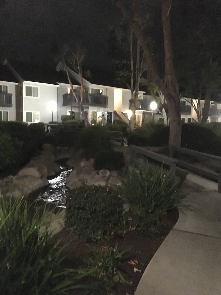 Sycamore Springs
