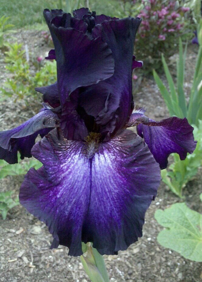 Northern Dutchess Botanical Gardens